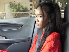 Bruinharig, Lul, Gezin, Handbeurt, Natuurlijke tieten, Kut duiken, Taboe, Tieten likken