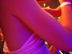 Bruinharig, Dansen, Interraciaal, Likken, Orgie, Satijn, Zuigen, Swinger