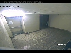 露出狂, シーメール