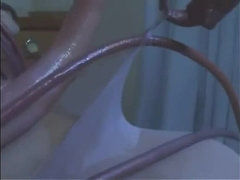 Азиатки, Красотки, Садо мазо, Стервы, Японки, От первого лица