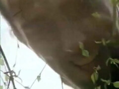 Mooie dikke vrouwen, Rondborstig, Mollig, Sperma shot, Schattig, Dik, Frans, Groep