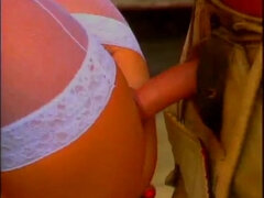 Alemán, Peludo, Clasico