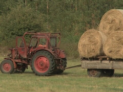 In den arsch, Arsch, Braunhaarige, Schwanz, Aufs gesicht abspritzen, Bauernhof, Hd, Im freien