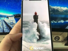 Большая жопа, Большой член, Минет, Толстые, Домашнее видео, Чудовищные размеры, Сквиртинг, Сиськи