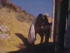 john holmes and ron jeremy.mp4