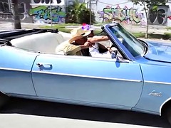 黒人, 黒人, 乱交, シーメール