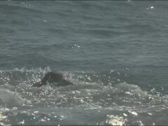 Большие сиськи, Минет, Член, Эротика, Зрелые, Медсестра, Порнозвезда, Рыжие