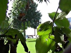 Guys caught pissing (part 2)