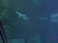 素人, アジア人, 浴室, 指いじり, 彼女, オナニー, オーガズム, 公共
