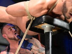 Anal, Brutal, Homosexuelle