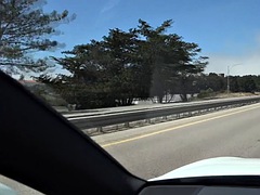 Amateur, Verga grande, Mamada, Corrida, Divertido, Sexo duro, Pov, Chupando