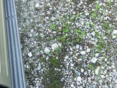 Latijnse vrouw, Tiener