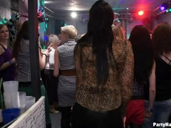 Braunhaarige, Bekleidet, Frau, Lingerie, Höschen, Strumpfhose, Party, Strümpfe