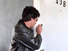 Hd, Peter north, レトロ