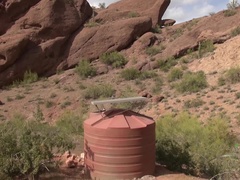 Bad, Klaffend, Freundin, Behaart, Laktieren, Im freien, Muschi, Unter dem rock