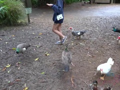 Leie, Strand, Blasen, Nackt, Im freien, Öffentlich, Spanner, Nass