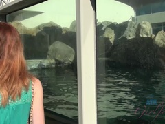 Grosse titten, Bikini, Freundin, Pov, Muschi, Rasiert, Dürr, Titten