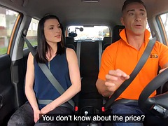 Real doggy style learning driver in class by an instructor