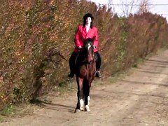 Amateur, Dingue, Mature, Mère que j'aimerais baiser, Monstre, Jouets