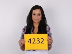 Leie, Braunhaarige, Tschechisch, Pov, Realität