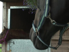 Wohlbeleibte schöne frauen, Grosser arsch, Blasen, Spermaladung, Fetisch, Fußfetisch, Orgasmus, Titten