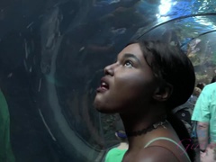 Amateur, Playa, Culo grande, Ébano, Novia, Público, Pezones inflados, Tetas