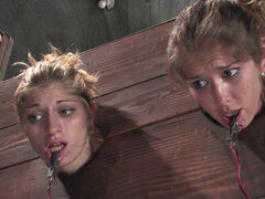 Bondage discipline sadomasochisme, Grote mammen, Lesbisch, Pijn, Schreeuwen, Trio, Vastgebonden