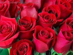 Hotwife Sadia Akhter in a steamy Bangla story with her mature saree look