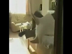 Amateur, Mamada, Pajear, Sexo duro, Marido, Japonés, Maduro, Esposa