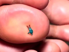 Pinkfoxx - Giantess Smashes With Flip Flops & Feet