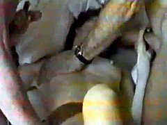 Amateur, Anal, Cuckold, Group, Hairy, Shy, Slut, Tits