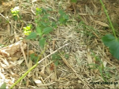 Азиатки, Минет, Кончили внутрь, Секс без цензуры, Хд, На природе, Жесткий секс, Студентка