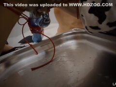 アナル, 緊縛, ボンデージ, 茶髪の, 中出し, Hd, 乳首, おもちゃ