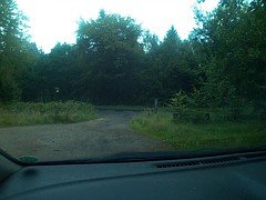 Черные, На природе