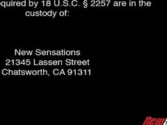 Красотки, Блондинки, Брюнетки, Грудастые, Семяизвержение, Порнозвезда, От первого лица, Сиськи