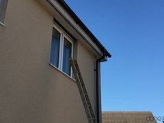 Blasen, Paar, Spermaladung, Hundestellung, Aufs gesicht abspritzen, Fingern, Lecken, Im freien