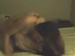 Anal, Gorda, Tetas grandes, Compilación, Ébano, Alemán, Lencería, Maduro