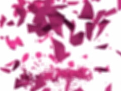 アナル, フェラチオ, 浮気者, イく瞬間, フェティッシュ, レズビアン, 小柄, オッパイの