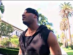 Gay BBC Home Invasion