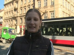 Mooi, Pijpbeurt, Bruinharig, Rondborstig, Hondjeshouding, Handbeurt, Buiten, Geschoren
