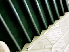 Leie, Grosser schwanz, Schwarz, Schwarz, Interrassisch, Öffentlich, Ablutschen, Spanner