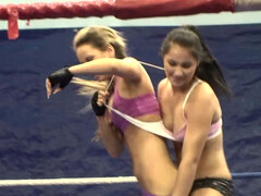Babes, Brunette, Kissing, Licking, Pussy, Train, Wrestling