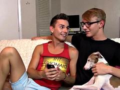 Anal, Sucer une bite, Couple, Homosexuelle, Groupe, Hard, Maigrichonne