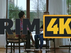 Mooi, Bruinharig, Harig, Hd, Interraciaal, Naakt, Kut duiken, Anaal likken