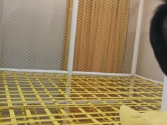 Asiático, Sadomasoquismo, Morena, Dominación, Fetiche, Hd, Japonés