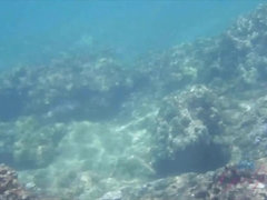 Amateur, Plage, Sucer une bite, Petite amie, Branlette thaïlandaise, Orgasme, De plein air, Voyeur