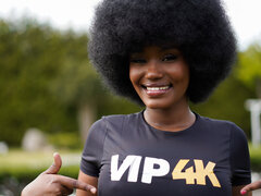 Zwart, Bruinharig, Zwart, Gezichtspunt, Zuigen