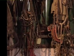 Anal, Culo grande, Tetas grandes, Corridas faciales, Madres para coger, Al aire libre, Clasico, Esposa