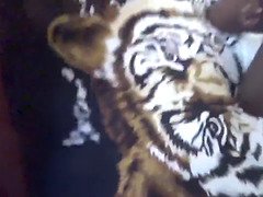Cul, Noire, Femme couguar, En levrette, Hd, Époux mari, Belle mère, Tatouage
