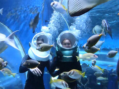 Verga grande, Mamada, Pareja, Sexo duro, Lamidas, Pov, Coño, Adolescente